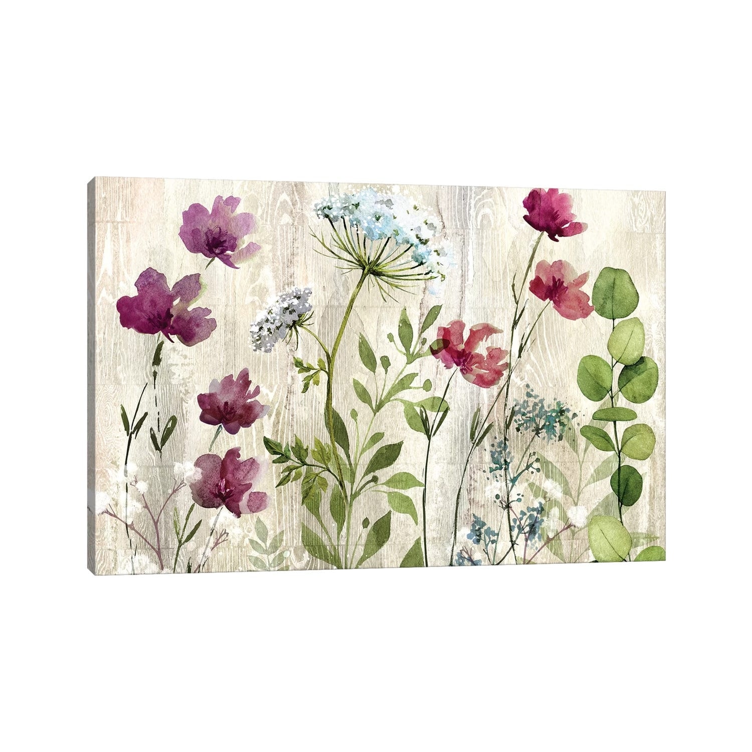 iCanvas "Meadow Flowers I" by Conrad Knutsen Canvas Print