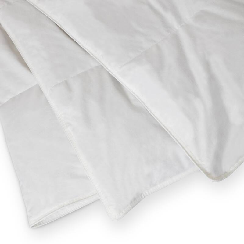 All Seasons Soft Durable 250 Thread Count Down Blend Comforter
