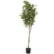 preview thumbnail 10 of 14, Green Faux Foliage Eucalyptus Artificial Tree with Realistic Leaves and Black Plastic Pot