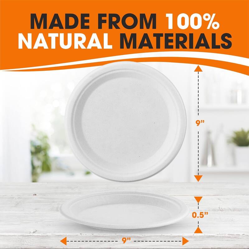 Cheer Collection 9 inch Disposable Plastic Plates - 100 Pack - 9 Inch