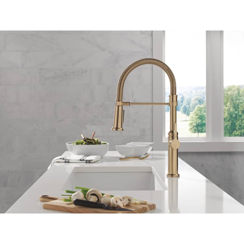 Delta 18829-DST Rhett 1.8 GPM Single Hole Pre-Rinse Pull Down Kitchen