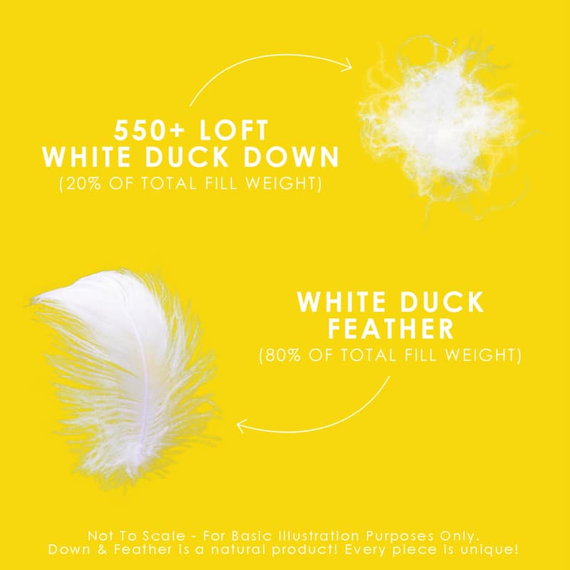 Canadian Down & Feather Co. Regular weight White Feather & Down Comforter