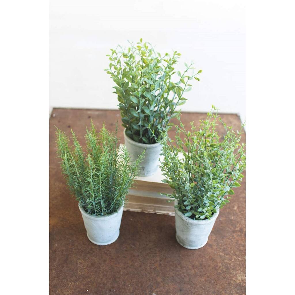 Set of Three Artificial Herbs in Cement Pots - 5-inch Diameter