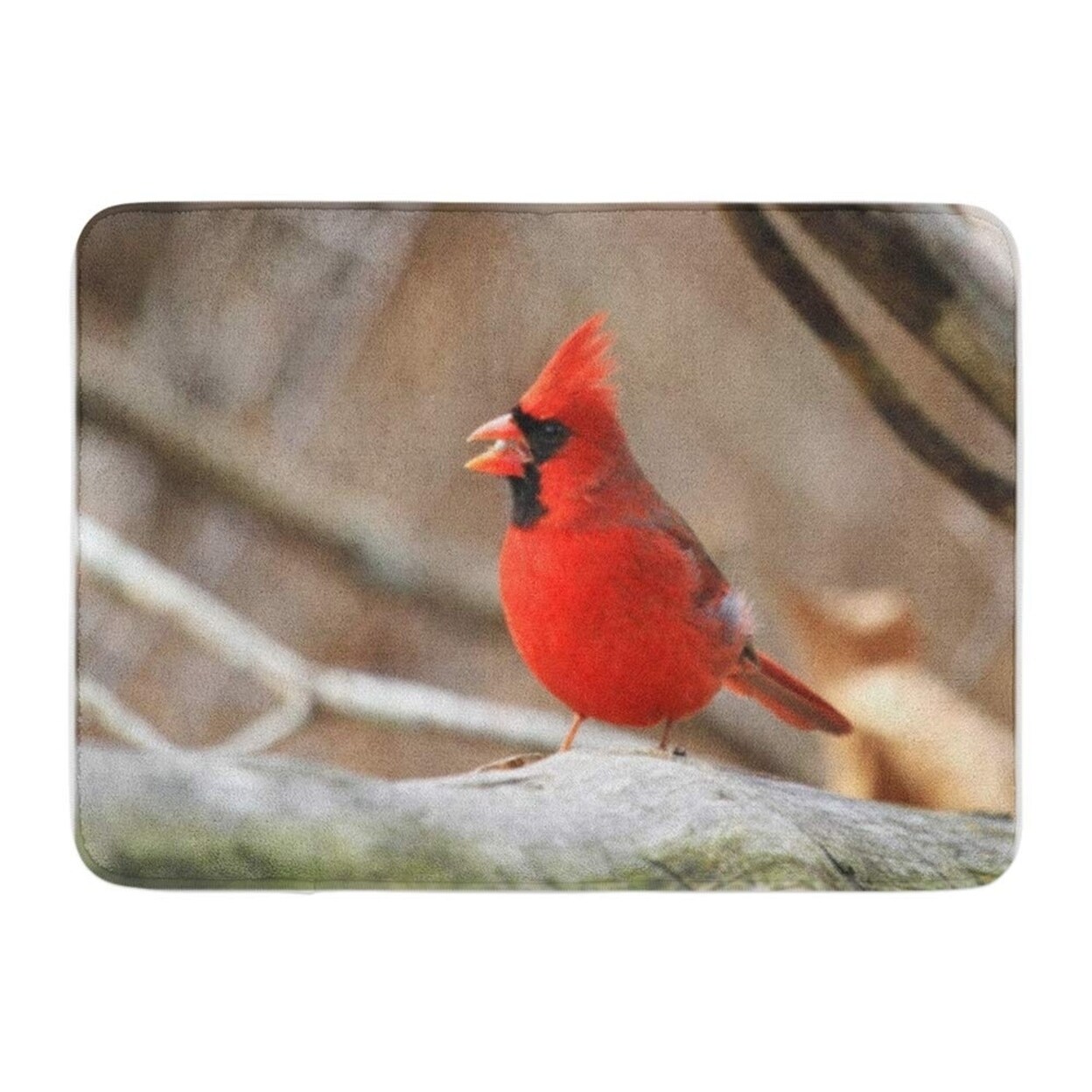 Colorful Winter Male Cardinal Red Bird Cabell Doormat Floor Rug Bath Mat 23 6x15 7 Inch Multi On Sale Overstock 31778580