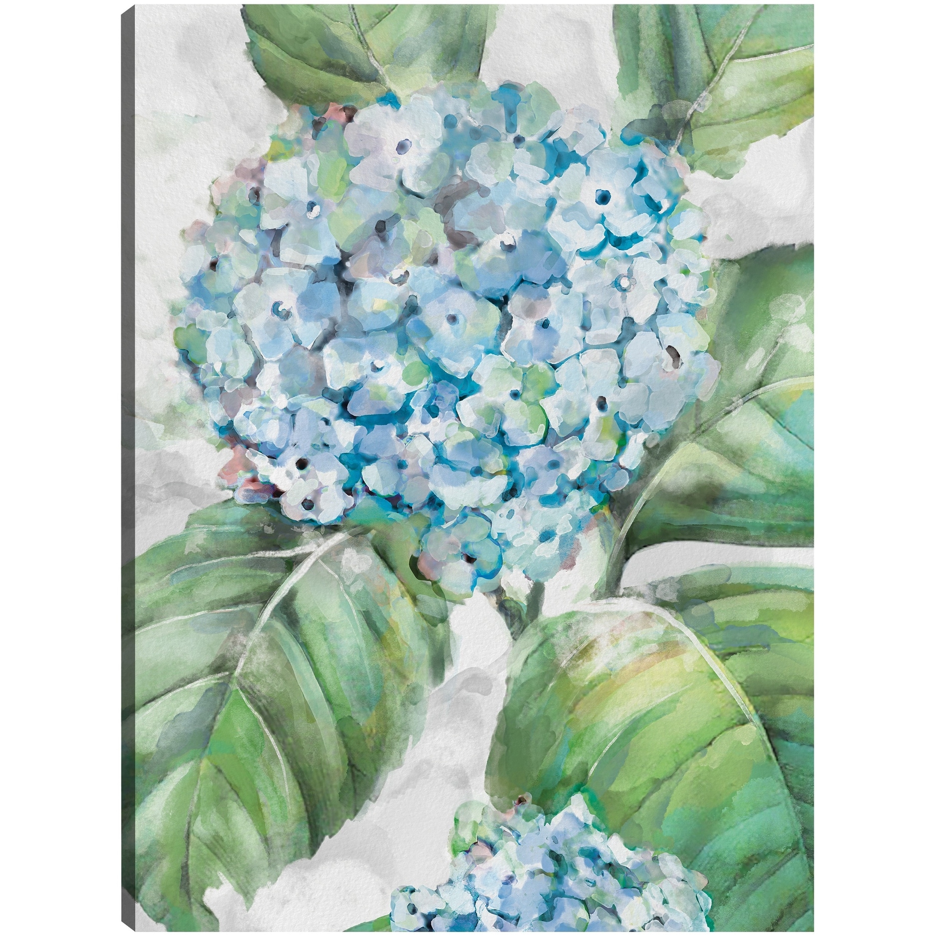 Hydrangea Portraits II By Studio Arts Canvas Art Print