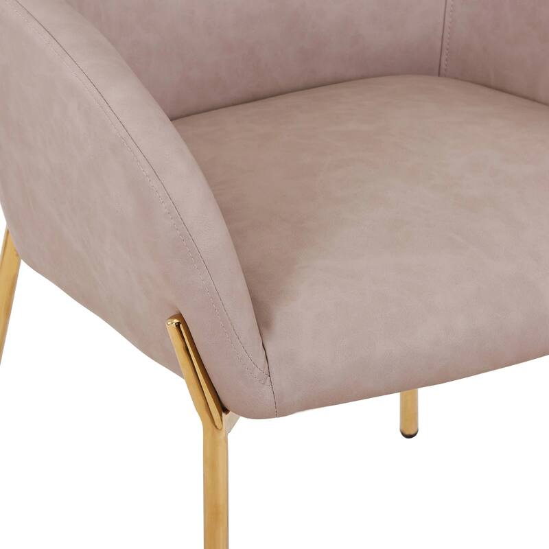Zaire Upholstered Dining Chair in Velvet/Leather/Boucle with Gold Chrome Iron Set of 2