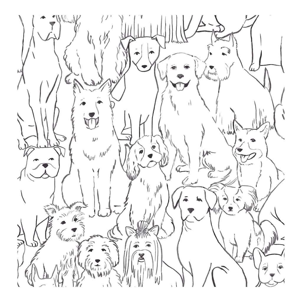 NuWallpaper Black & White Paws On Peel & Stick Wallpaper - 216in x 20.5in x 0.025in