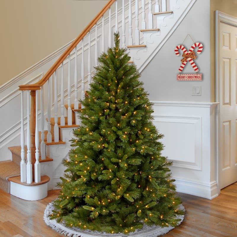 National Tree Company 6 ft. Winchester Pine Tree with Clear Lights - 6 Foot - Green