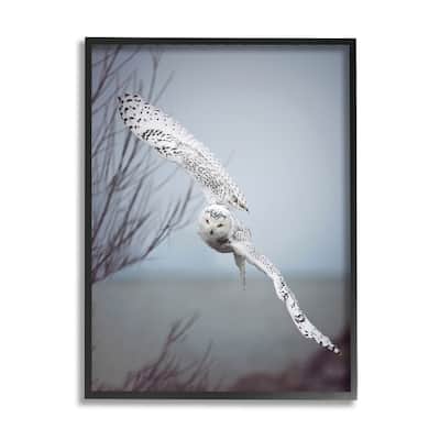 Stupell Majestic Snowy Owl Flying Wingspan Wildlife Photography Framed Wall Art, Design by Carrie Ann Grippo-Pike