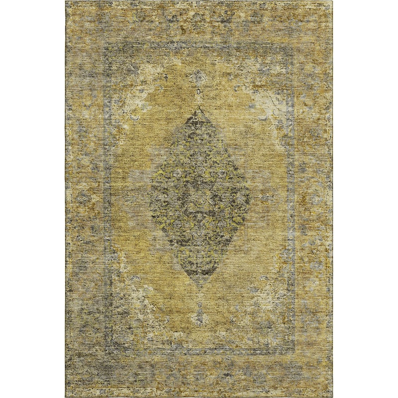 Premium Washable Super Soft Vintage Traditional Mayfield Rug