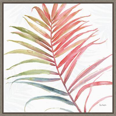 Tropical Blush VI by Lisa Audit Framed Canvas Art