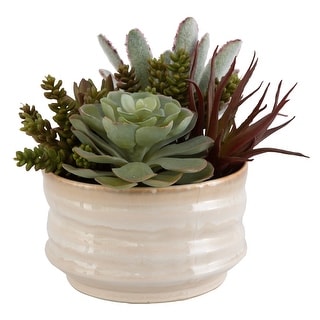 Uttermost Mesa Succulent Accent - 10"W x 9"H x 10"D