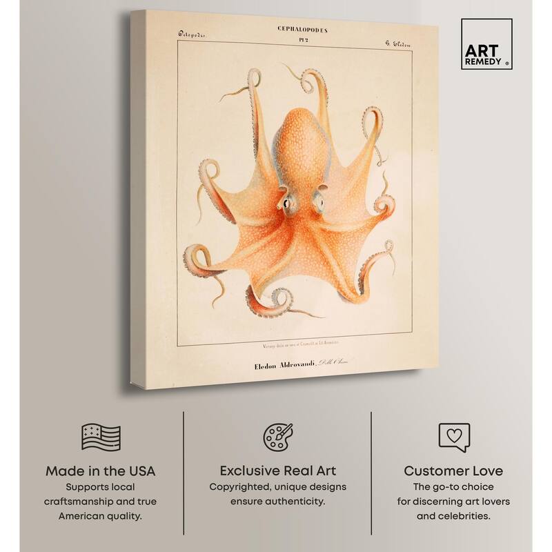 Verany The Octopus 1815 II Canvas by Art Remedy, Gallery Wrapped