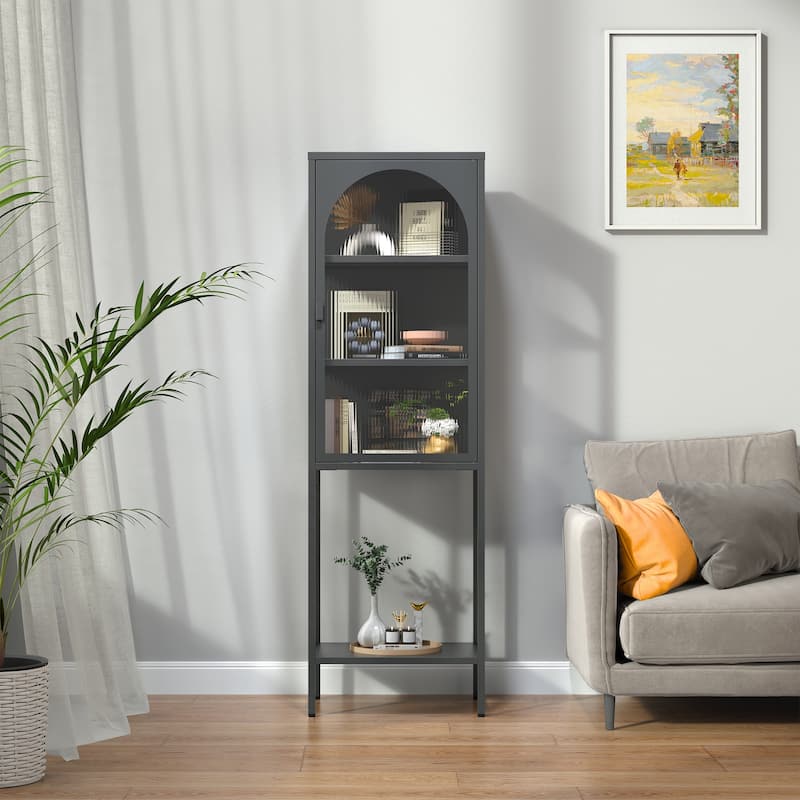 Benoît 62.99 inch Black One Door Metal Storage Cabinet with Fluted Clear Door