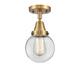 Option Brushed Brass / Clear
