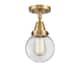 Option Brushed Brass / Clear