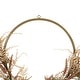 preview thumbnail 6 of 4, Fall Harvest Pale Roses with Foliage Artificial Wreath, 24-Inch, Unlit
