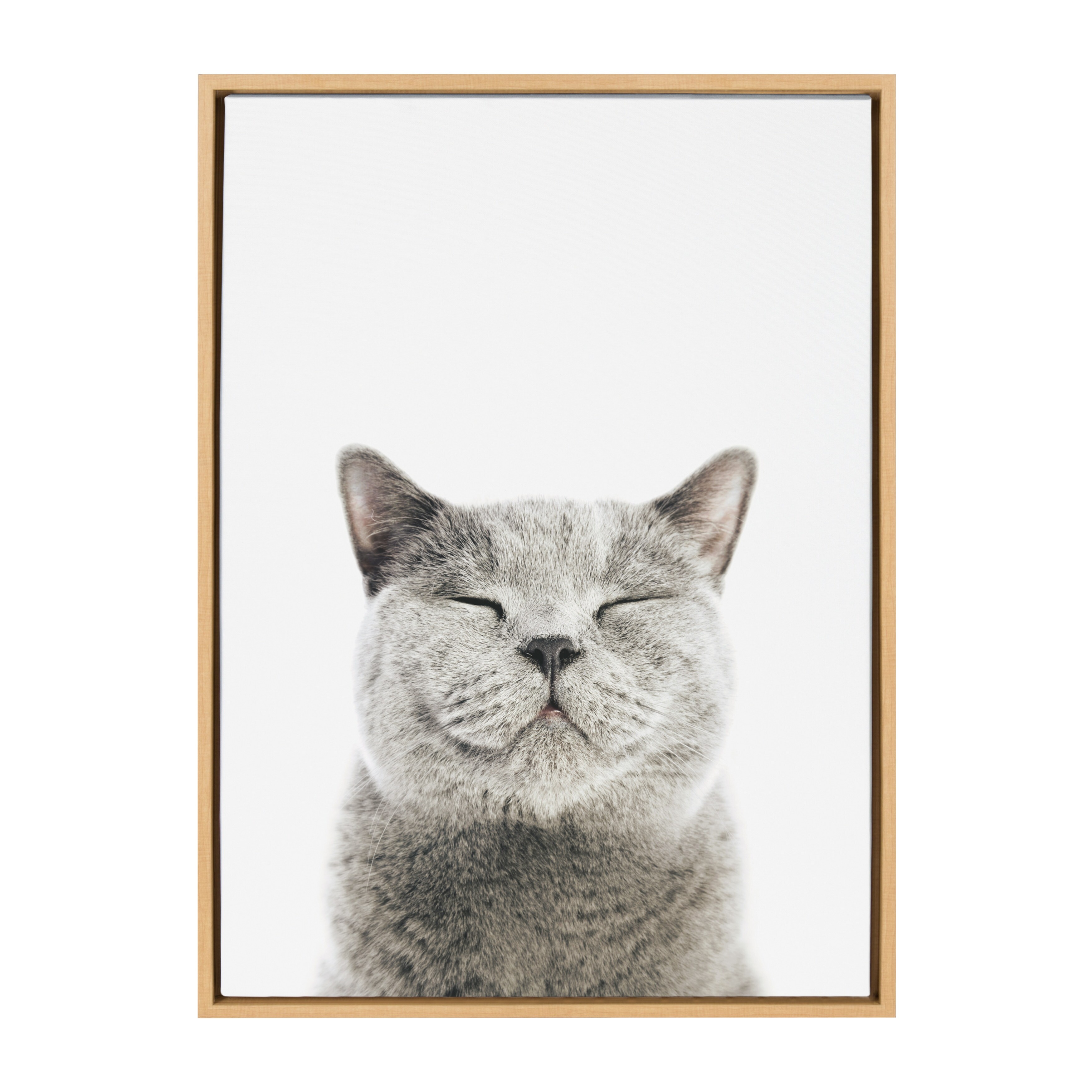 Kate and Laurel Sylvie Smiling Cat Framed Canvas by Amy Peterson Bed Bath   Beyond 29326494