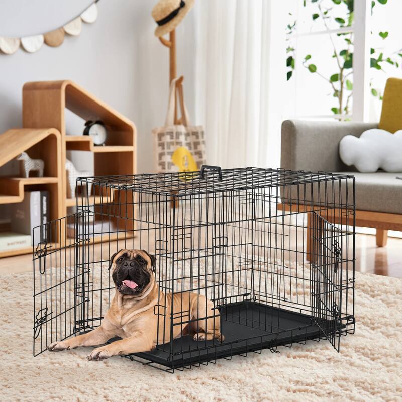 Mylo Metal Double Door Folding Wire Pet Crate with Divider by Furniture of America - 36-inch