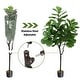 preview thumbnail 7 of 5, Artificial Fiddle Leaf Fig Tree 6ft Tall Faux Fiddle Leaves Fake Artificial Ficus Lyrata - 6.3x6.3x72in