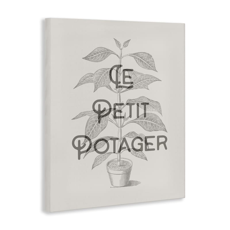 Stupell Vintage French Plant Phrase Canvas Wall Art Design By Lil' Rue