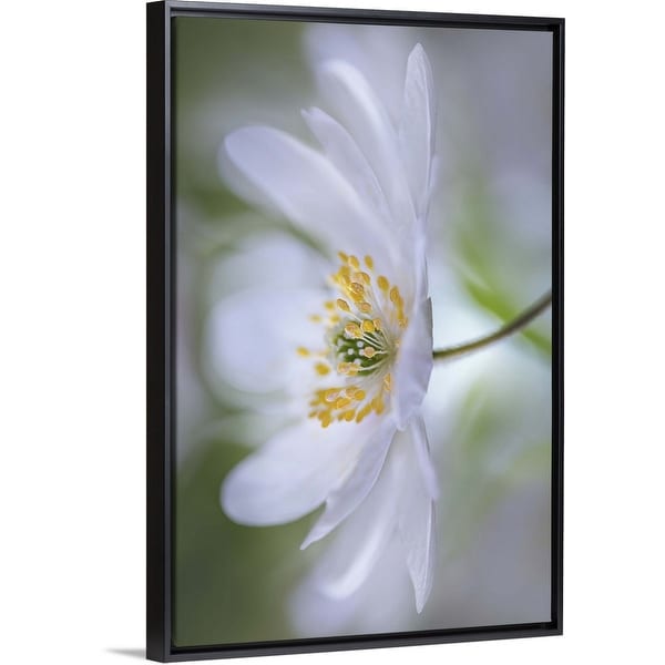 "Nemorosa Nirvana" Black Float Frame Canvas Art