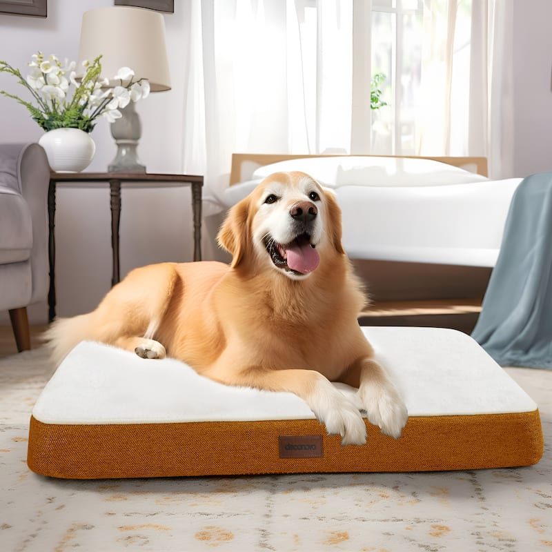 Orthopedic Dog Bed with Washable Cover - 44x32x3 - Orange/White