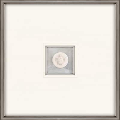 Turtle Intaglio Framed Art Mixed Media Shadow Box Under Glass - White