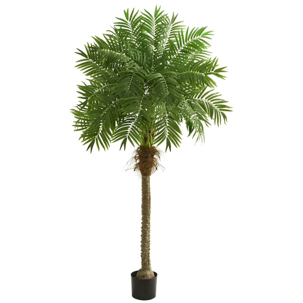 80" Robellini Palm Artificial Tree - Green
