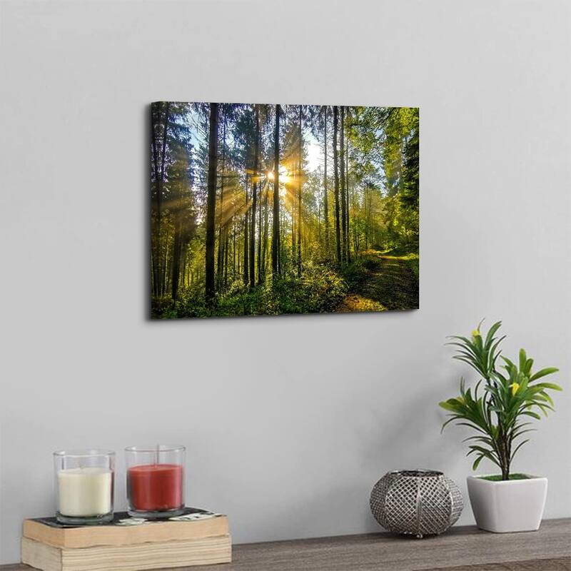 Nature Forest Canvas Wall Art