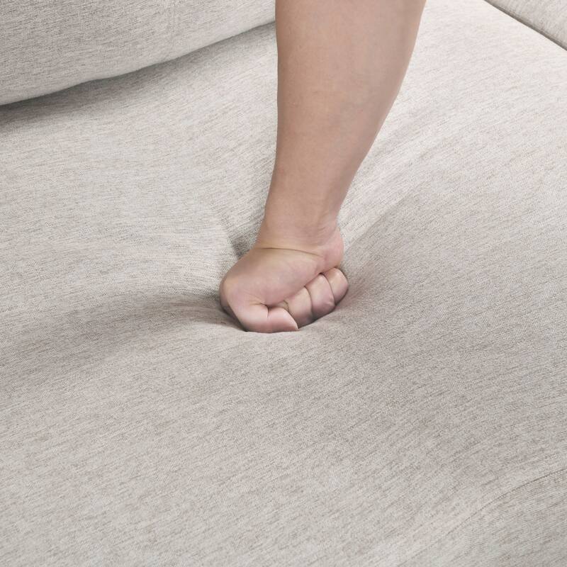 Darla 93" Textured 2-Piece Sectional Sofa with Chaise and Pull-out Bed