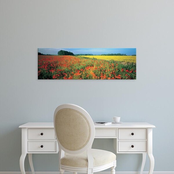 Easy Art Prints Panoramic Images's 'Flowers in a field, Bath, England' Premium Canvas Art