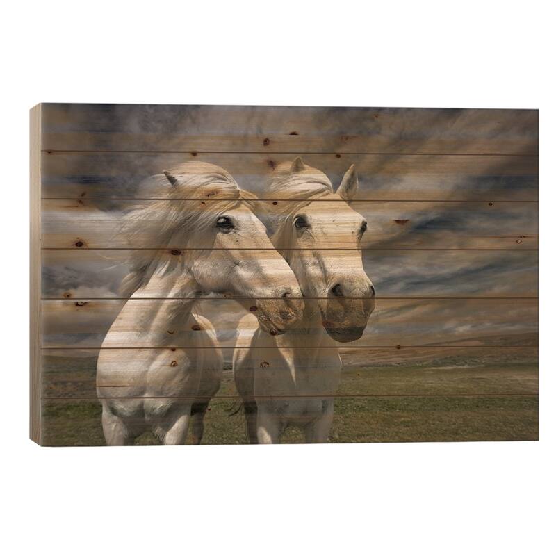 Inseparables Print On Wood by Bragi Ingibergsson - Multi-Color - 26x40x1.5