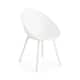 Option White
