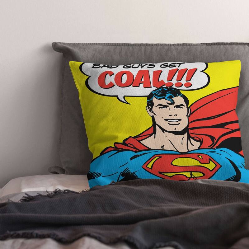 Warner Brothers DC Justice League Bad Guys Get Coal 18 Inch Throw Pillow