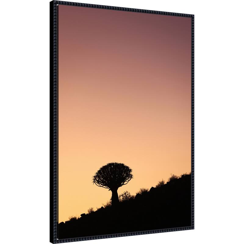 Quiver by Shot by Clint Framed Canvas Wall Art Print