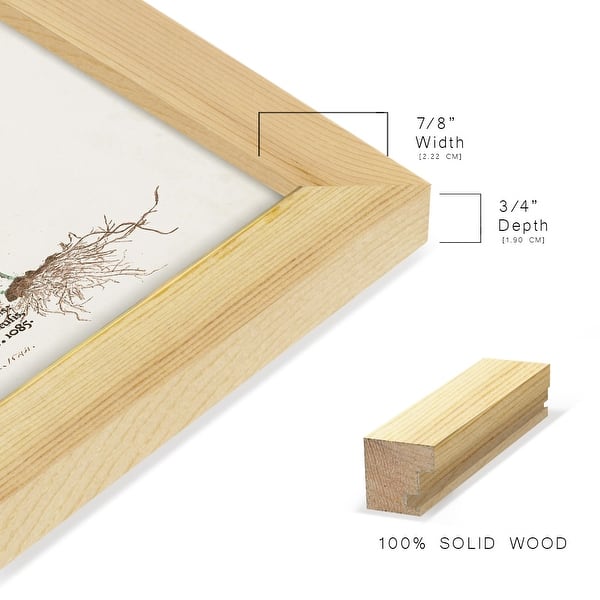 dimension image slide 18 of 21, Nature Printed Ferns IX -Framed Print w/glass-Cherry Red