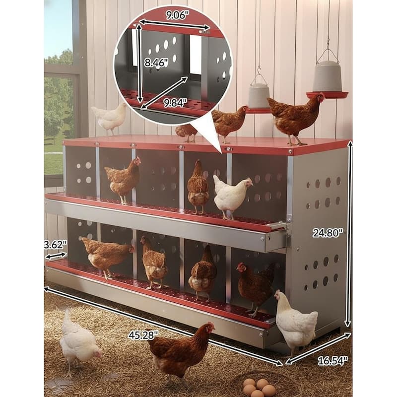 Chicken Nesting Boxes, with 10 Compartment