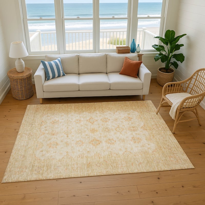Premium Washable Super Soft Vintage Traditional Mayfield Rug