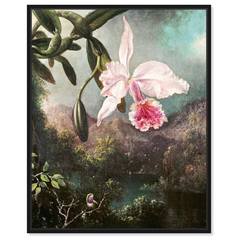 Orchid Blossoms 1873 Canvas by Art Remedy - Black - 36" x 45"