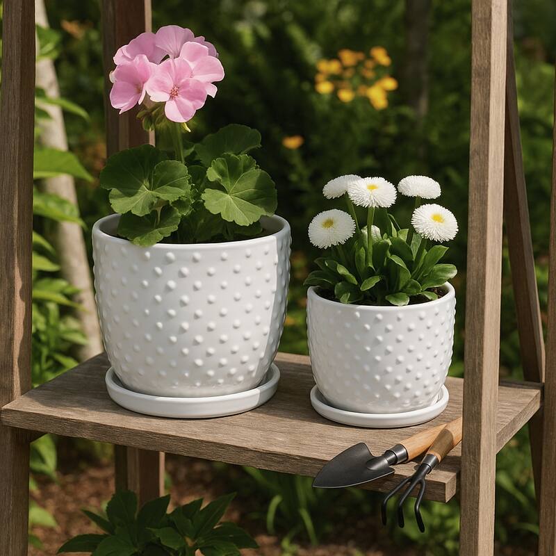 Ceramic Circular Saucer Planters Set of 2 - 6/8 in.