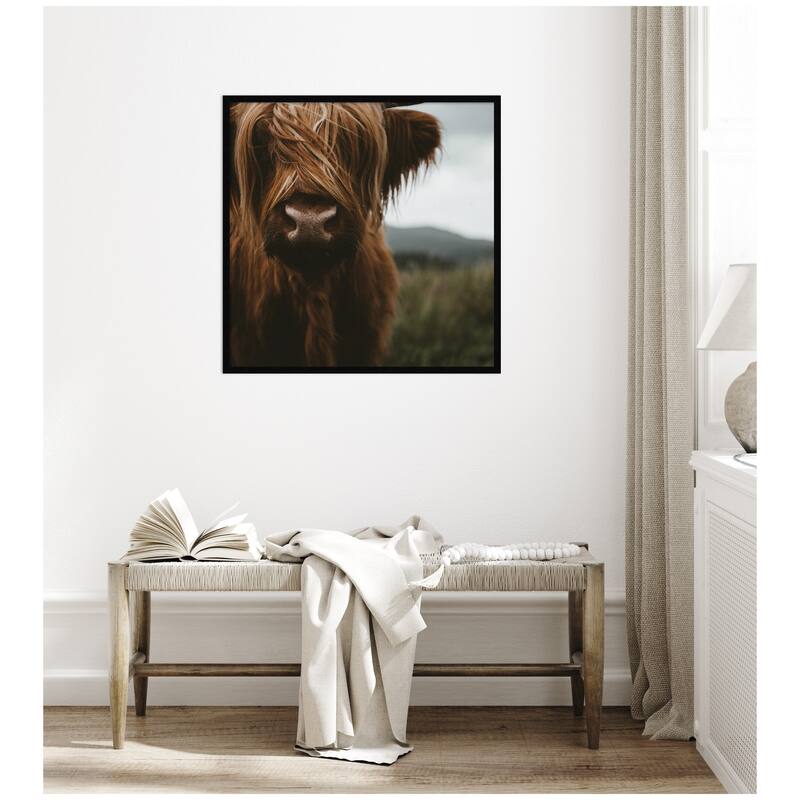Kate and Laurel Close Up of Scottish Highland Cattle Baby SQ by Michael Schauer Framed Wall Art Print