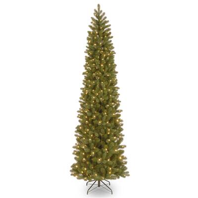 Downswept Douglas Pencil Slim Fir Tree