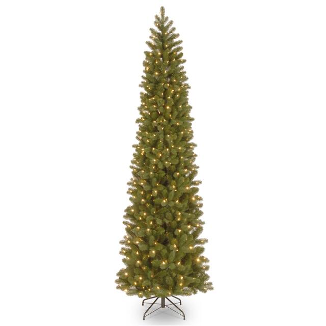 Downswept Douglas Pencil Slim Fir Tree
