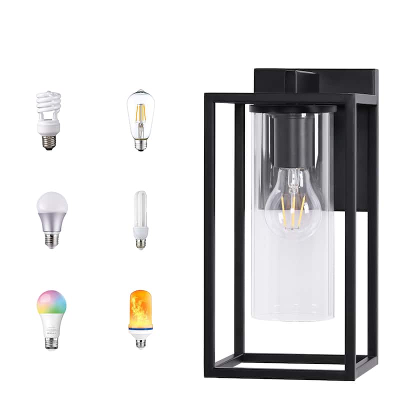 Metal 1-Light Clear Glass Outdoor Wall Sconce Light