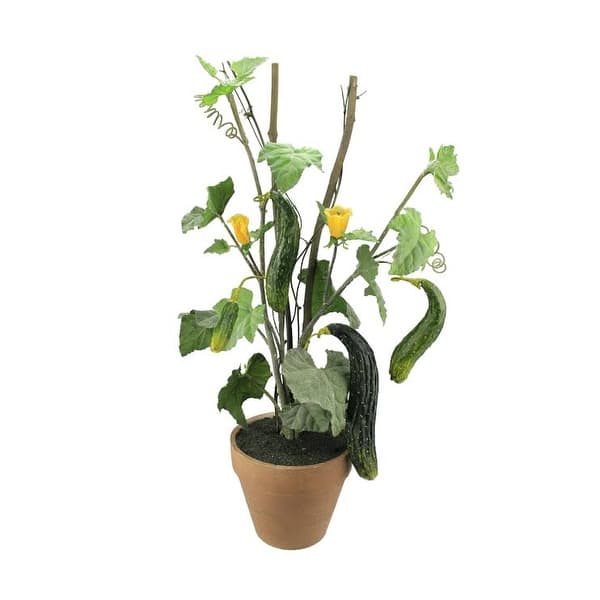 26" Potted Green and Yellow Artificial Cucumber Plant - Unlit - Bed Bath &  Beyond - 16552648