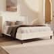 Option Ivory