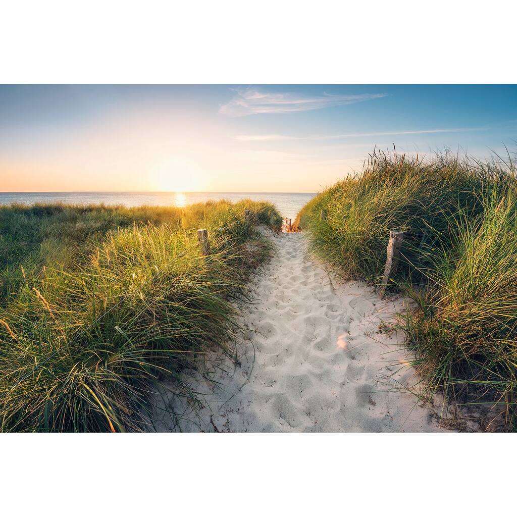 Komar Way to the Beach Wall Mural