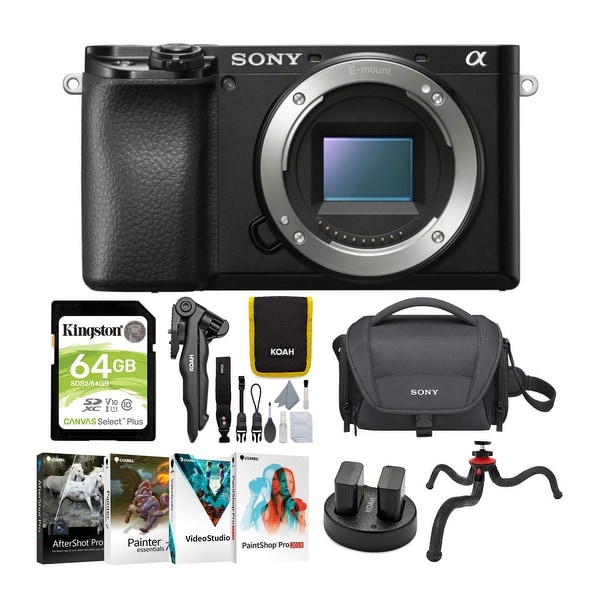 Sony Alpha a6100 APS-C Mirrorless ILC (Body Only) Bundle (7 Items) - Overstock - 30686739