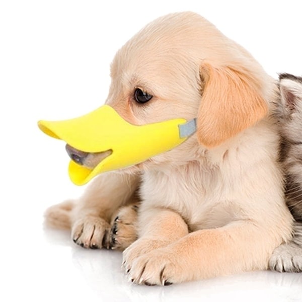 dog mouth muzzle